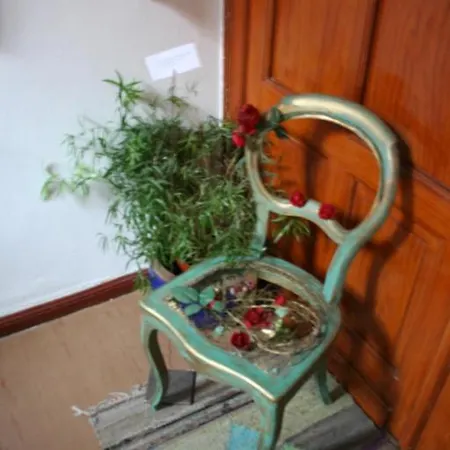 Der Kunstsalon Apartment *